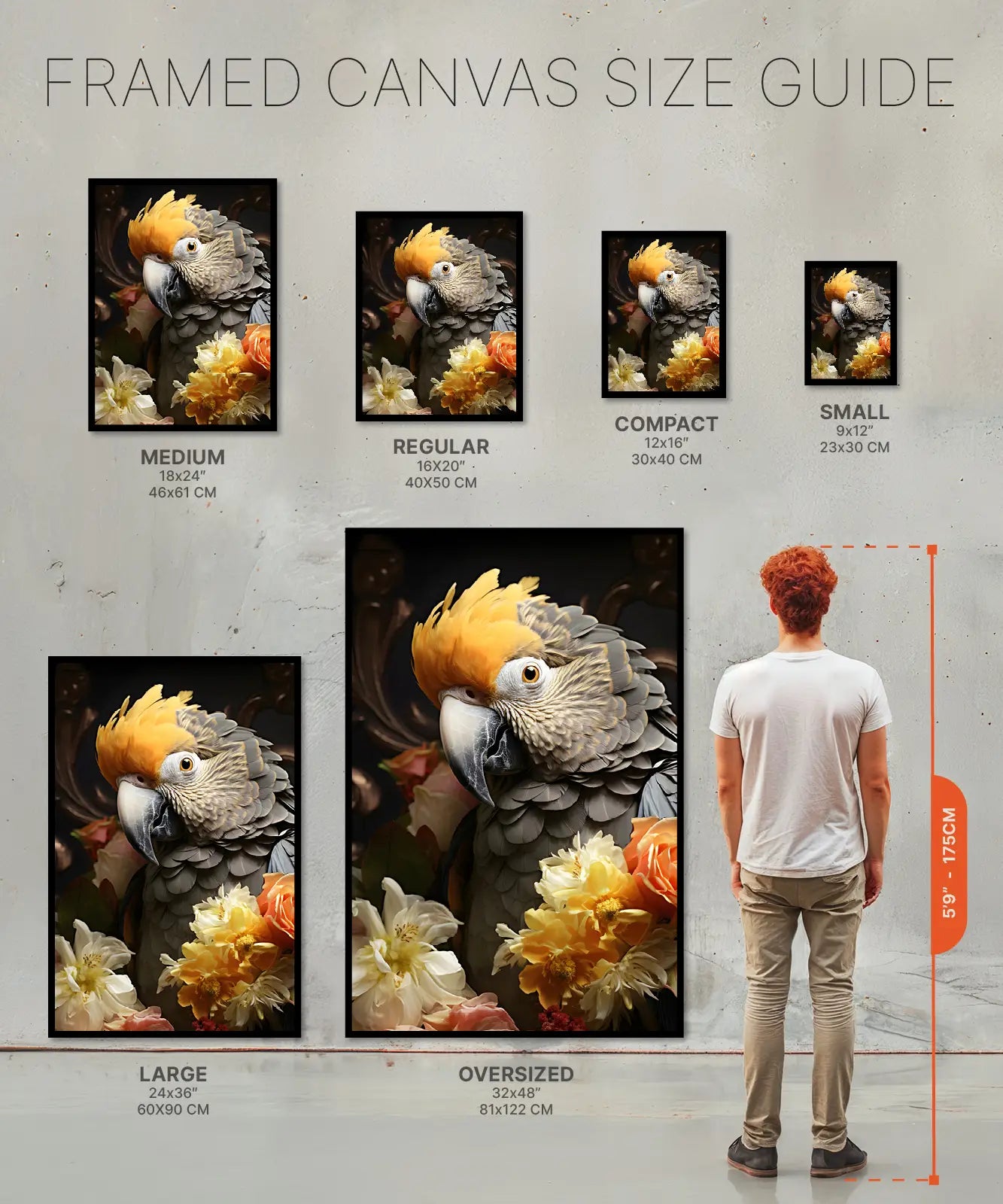 Size chart framed Canvas colorful parrot art