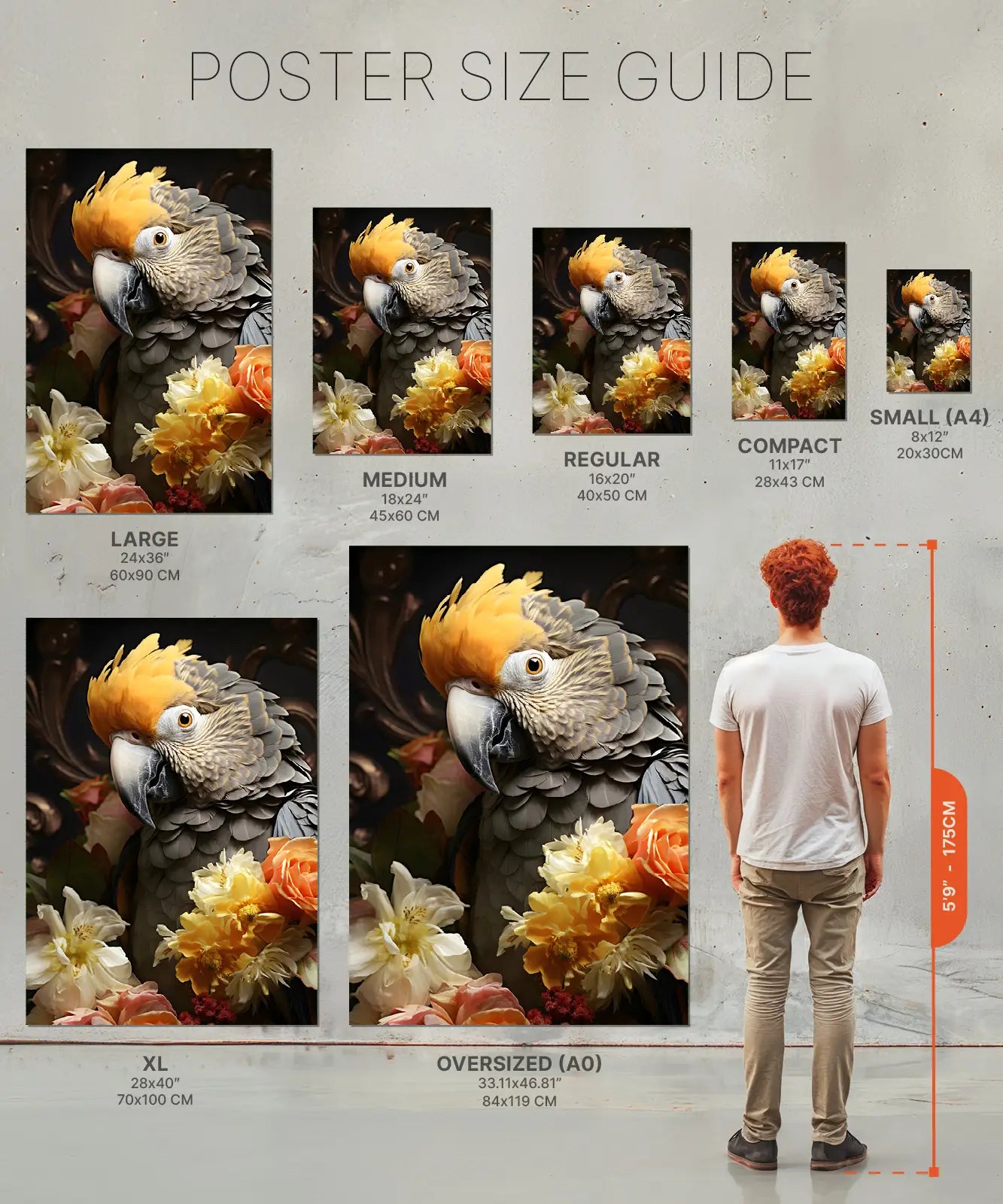 Size chart of Parrot feathers print