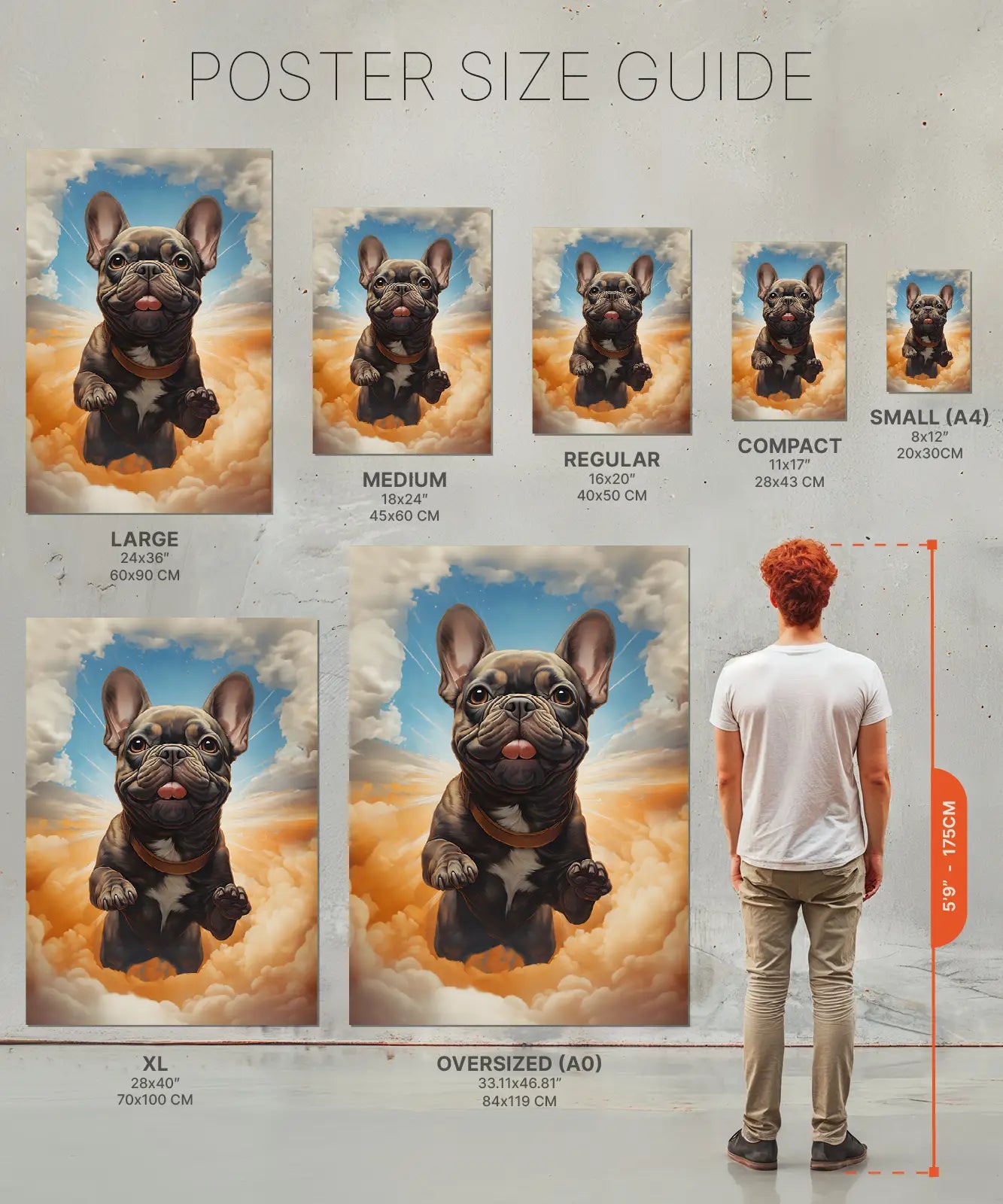 Size chart Poster of french bulldog in the sky