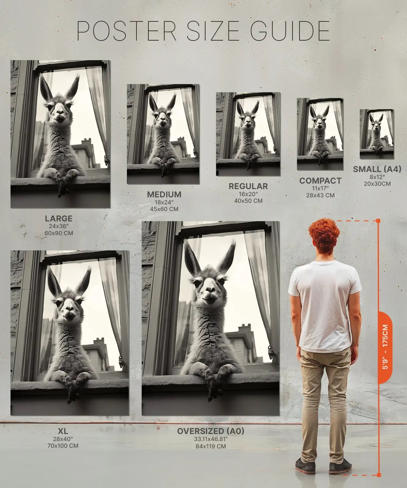 Poster of Lhama in window